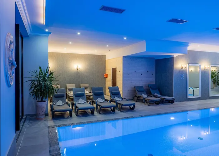 Paryski Art & Business Zakopane - Basen Jacuzzi Sauna Malpi Gaj